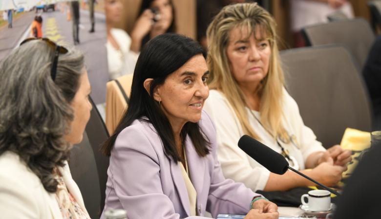 Matar al volante y seguir libre: la historia que marcó el debate en Diputados