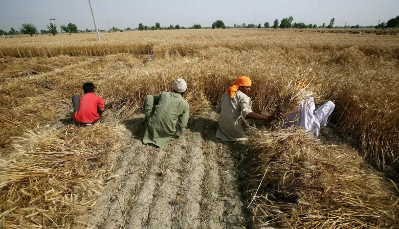 India prevé olas de calor récord y riesgo para el trigo en 2026