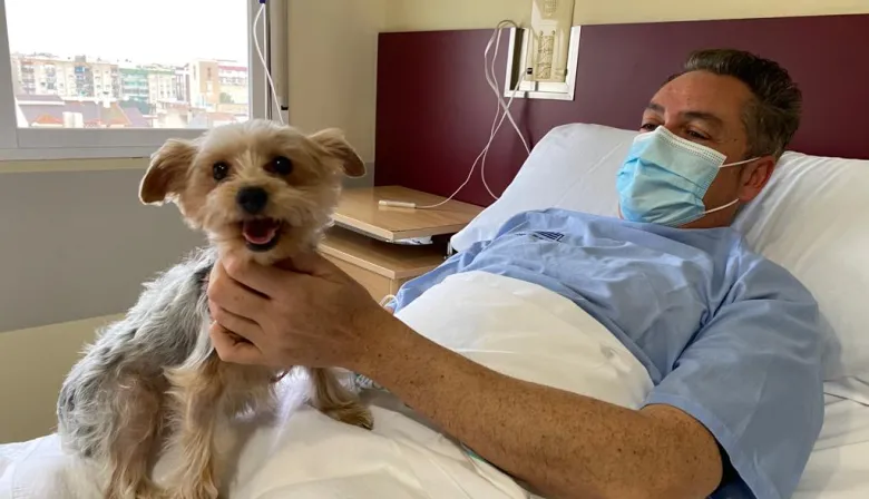 Tu perro en la sala de internación: el ambicioso proyecto que entró al Congreso