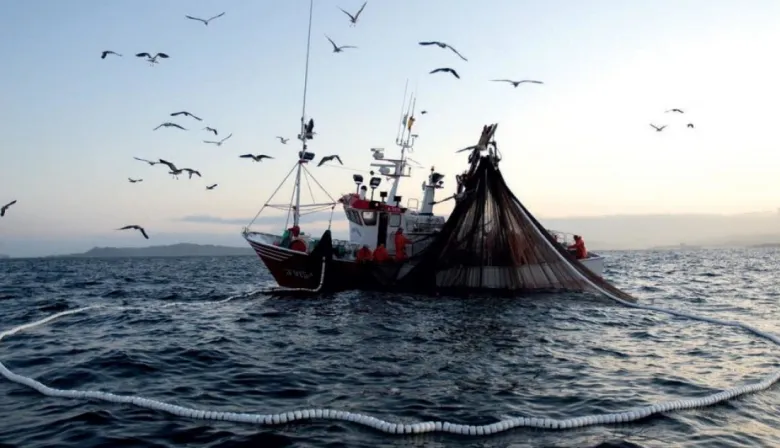 Pesca ilegal: cómo son los controles y prohibiciones que mandó Milei al Senado