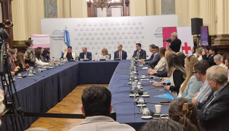 Congreso: el documento que impulsa una nueva ofensiva contra la ley de aborto