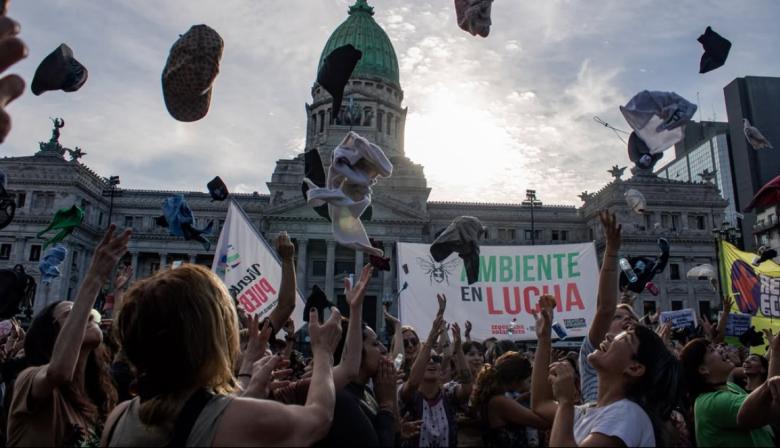 100.000 por la Ley de Glaciares: por qué habrá una marcha de las reposeras