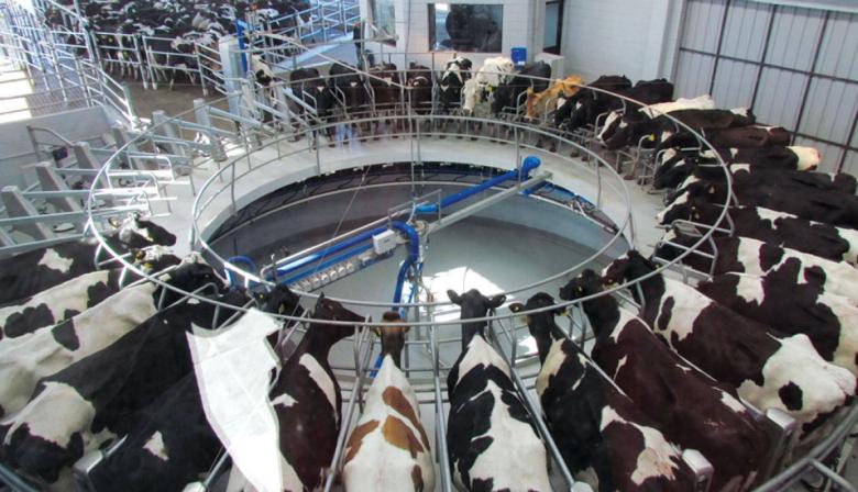 La provincia de Buenos Aires alertó por más de 1.000 tambos cerrados en dos años