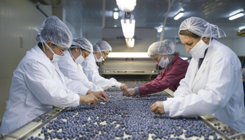 RIMI: el nuevo régimen que impulsa la inversión productiva en Argentina