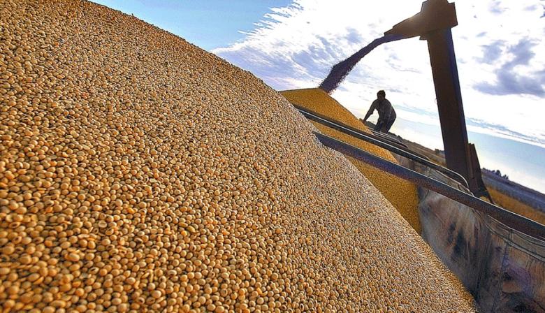 Semillas: el plan de Sturzenegger para ordenar ventas y proteger variedades