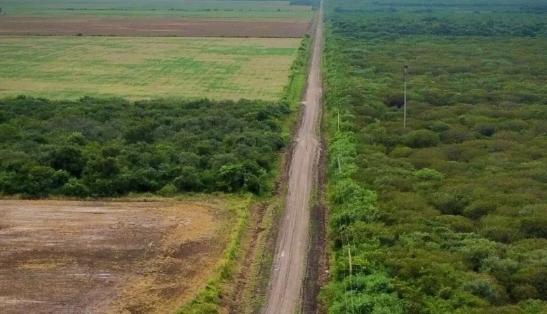 Chaco, Milei y un aval clave de USD 30 millones: qué pasará con la Ruta 13