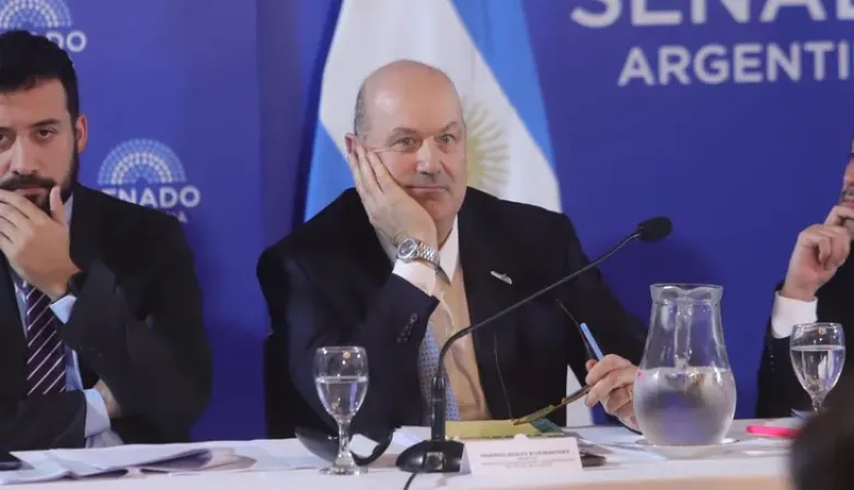 Propiedad privada y tierras extranjeras: choque entre Sturzenegger y oposición