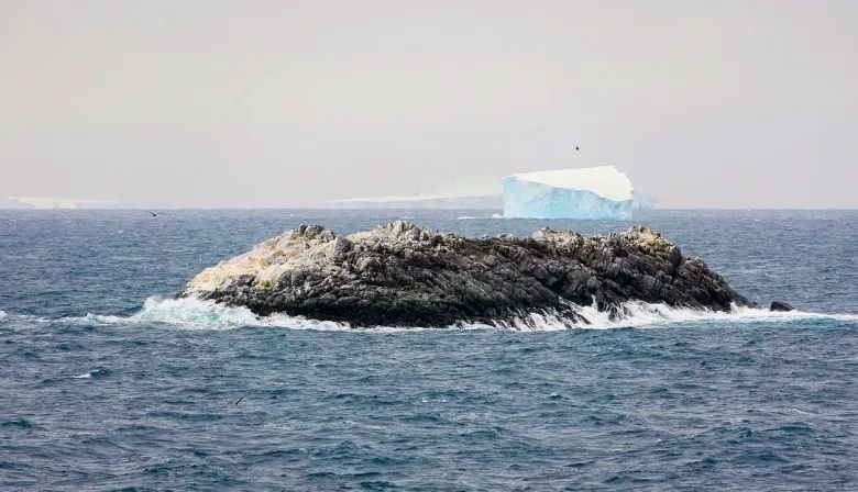 Antártida: el buque Polarstern halló una isla oculta en el mar de Weddell