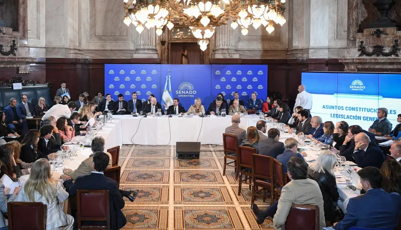 Senado: el proyecto sobre propiedad privada vuelve a comisión con fuertes cruces