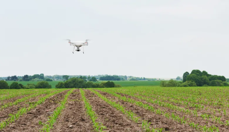Buscan regular por ley las aplicaciones con drones en el agro de PBA