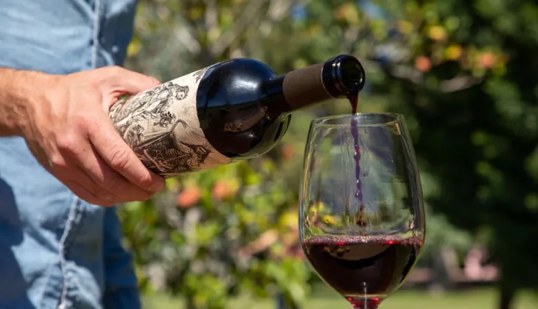Día Mundial del Malbec: el detalle que explica su dominio en Argentina