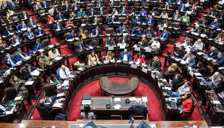Senado debate la reforma de Salud Mental: internaciones involuntarias y adicciones
