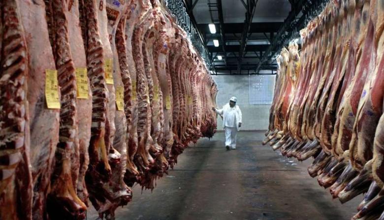 Consorcio ABC: cayó la faena y los precios de la carne vacuna siguen bajo presión