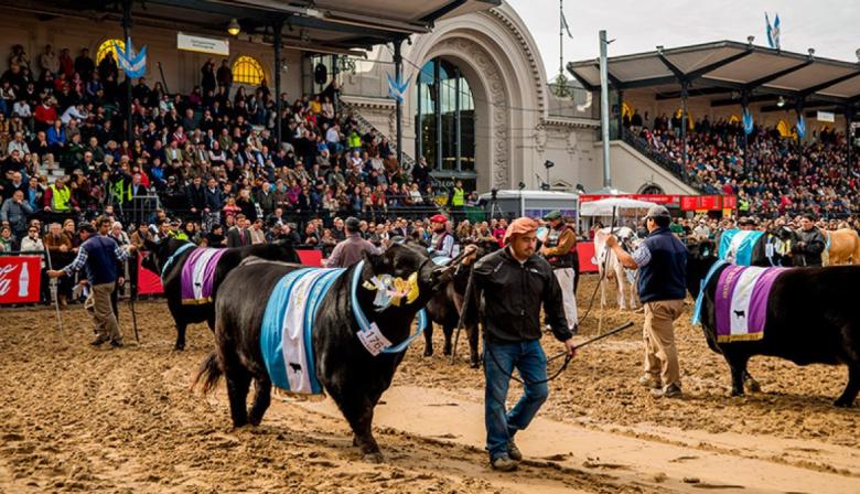 Qué pasó en el agro: interna en la SRA y pesca en alerta en Mar del Plata