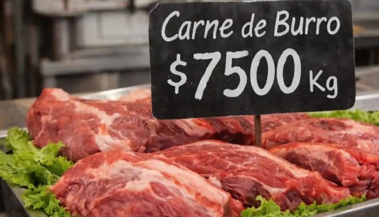 Carne de burro: el Gobierno habló de “operación” y apuntó contra un medio alemán