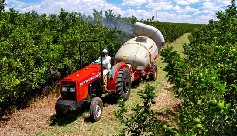 CONINAGRO publicó su semáforo regional: qué actividades quedaron en rojo