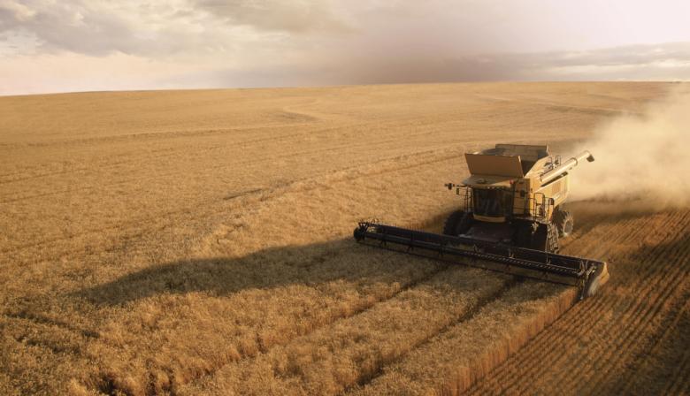 Abril en el campo: el mes donde se define el futuro productivo