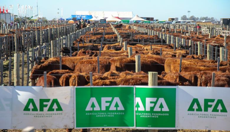 La renovada Agroactiva ganadera: más negocios, genética y lechería en un solo lugar