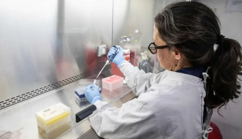Hantavirus: Argentina envía insumos a Europa para frenar un brote internacional