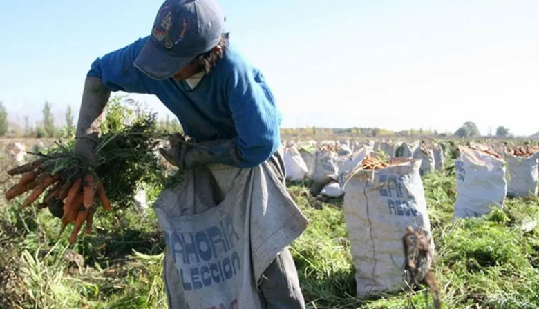 Peones rurales: el cambio de Milei que redefine salarios y abre una pelea