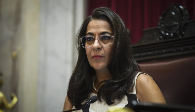 Senado dividido: el voto por Mahiques reavivó la grieta peronista y tensa al PJ