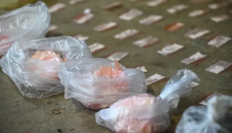 Alerta por rutas de droga: refuerzan controles en puntos estratégicos del país