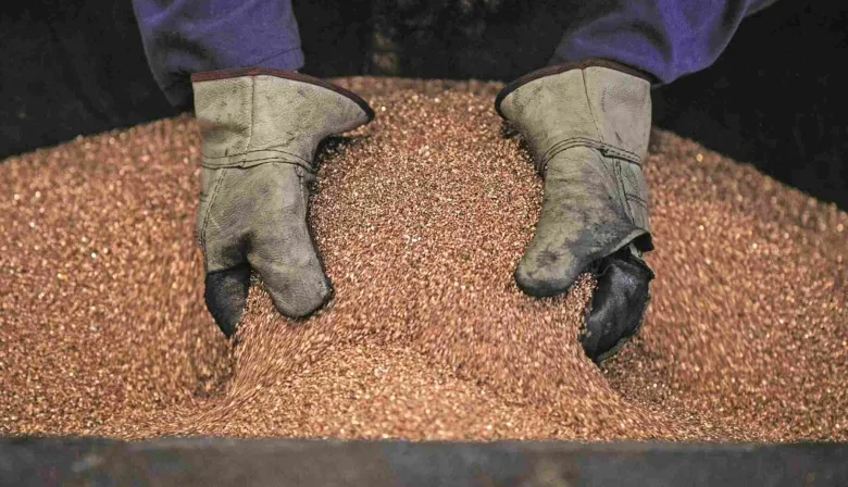 USD 3.875 millones: la venta que mira al cobre argentino