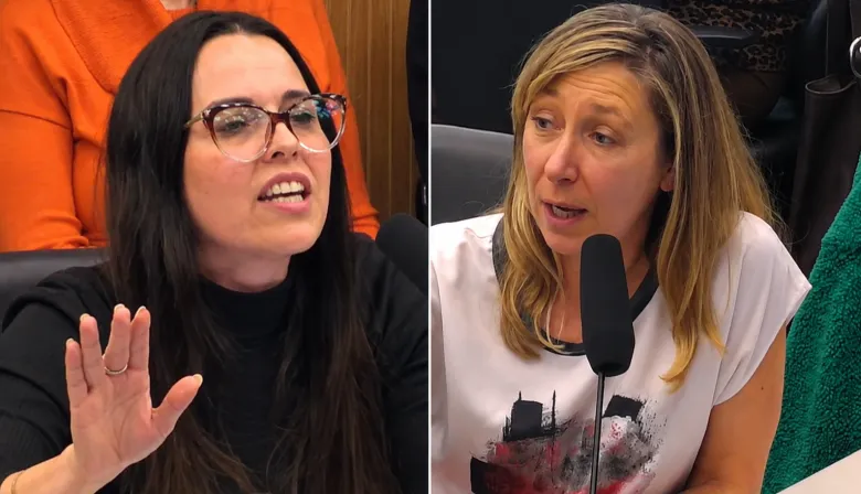 Feminismo e ideología de género: tenso cruce en Diputados entre LLA y oposición