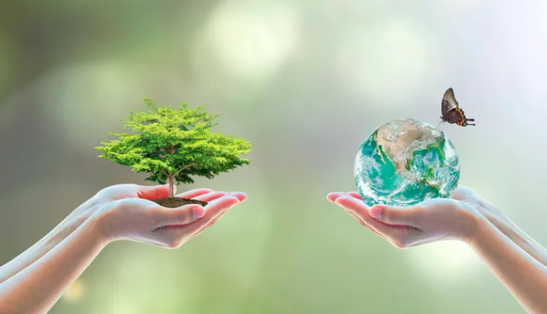Sin biodiversidad, sube el precio de la comida y se complica el agua potable