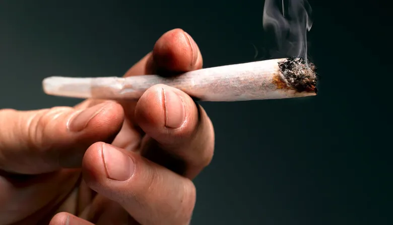 Legalización de la marihuana y amnistía: el polémico proyecto en Diputados