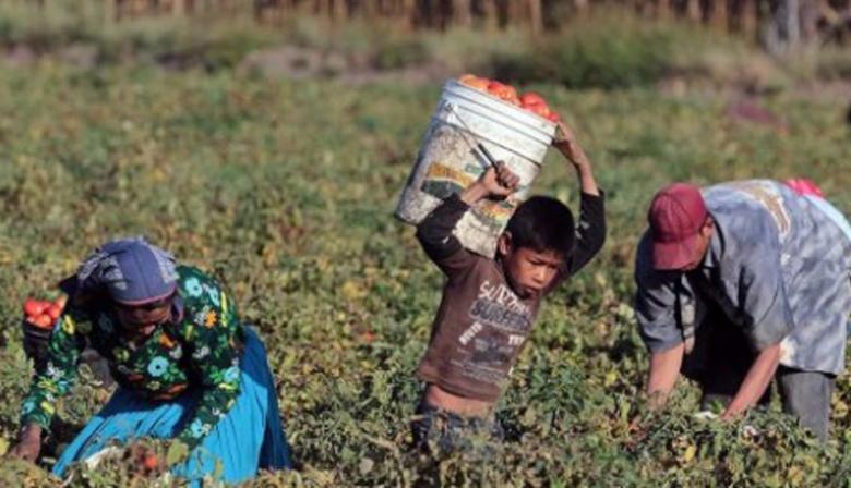 Trata laboral y explotación infantil en La Plata: investigan un predio con 100 personas