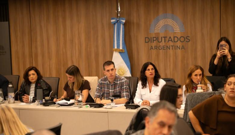 Qué incluye la ofensiva contra Lugones y por qué preocupa a miles de familias