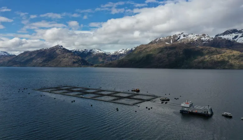 Cómo el cambio climático está alterando la pesca y la vida costera en Chile