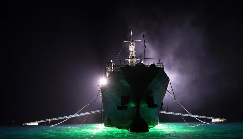 Pesca ilegal, USD 1.000 millones en juego y cárcel: qué llegó a Diputados