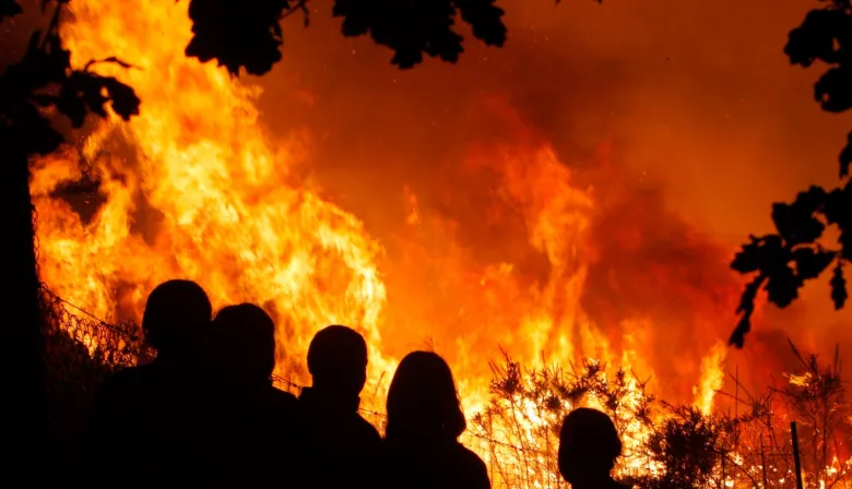 Del giro 2020 al proyecto de Milei: qué pasa con la Ley de Manejo del Fuego