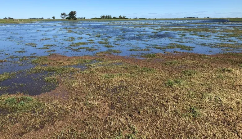 Con el fenómeno El Niño en el horizonte, buscan monitorear las napas en PBA