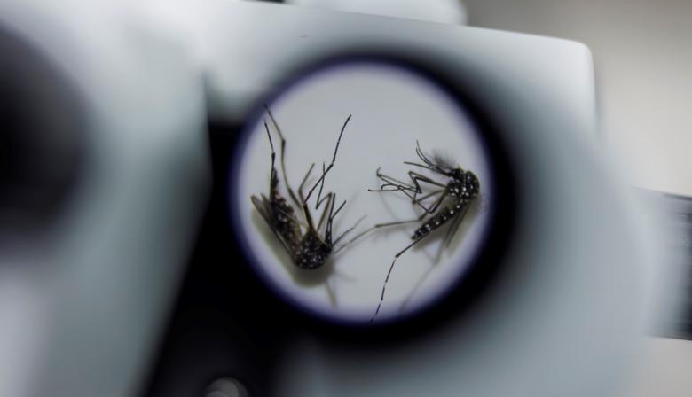 Dengue en Argentina: la chance de casos más graves que encendió las alarmas