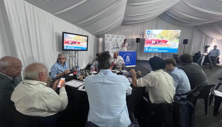 Agroactiva 2026 en Armstrong: Campos y Ganados remató 6.000 cabezas con firme demanda