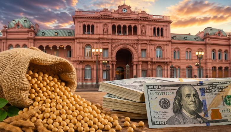 Trigo y soja: cuánto se queda el Estado y cuánto va al bolsillo del productor