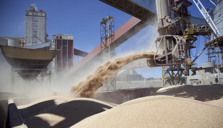 Soja y girasol: la molienda del Gran Rosario repunta y mejoran los números industriales