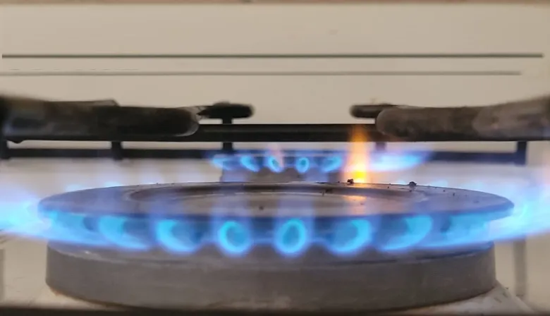 Servicio de gas en plena ola polar: qué dijo el Gobierno sobre los hogares