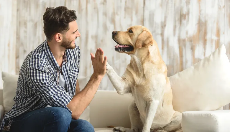 Un informe revela cómo actúa la ciencia detrás del vínculo entre humanos y mascotas