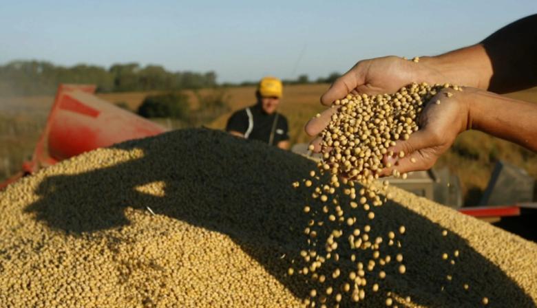 "Hay que terminar con las retenciones": el mensaje de Economía al campo