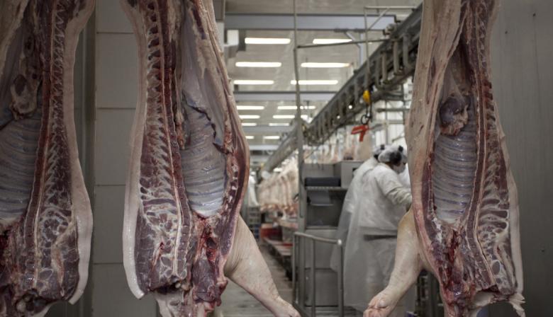 El dato que Agricultura oculta sobre las exportaciones de carne porcina