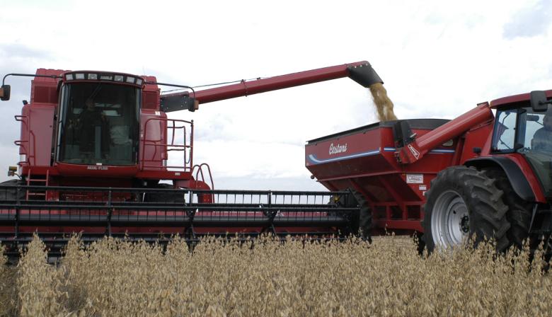 La BCBA actualizó la campaña de granos: cómo vienen soja, maíz, sorgo y trigo