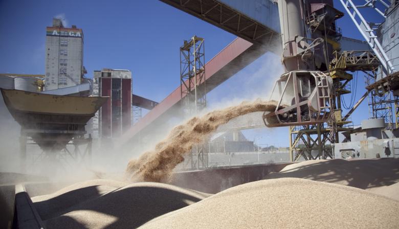 Alivio para la industria: la UE frenó una medida que afectaba a la soja argentina