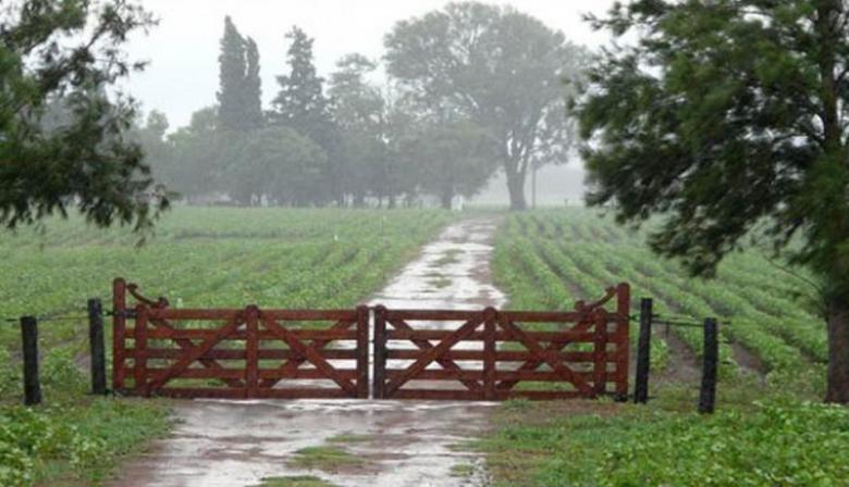 Qué pronostica el SMN para el campo argentino y cómo podría impactar en la producción
