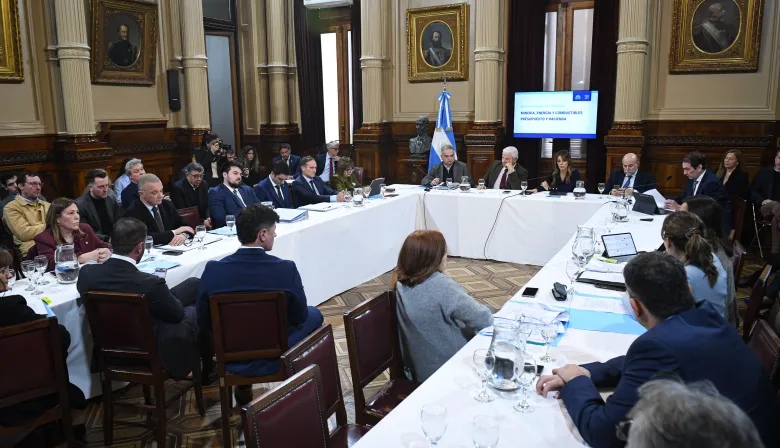 Biocombustibles: Un proyecto de Capitanich agitó el debate en el Senado