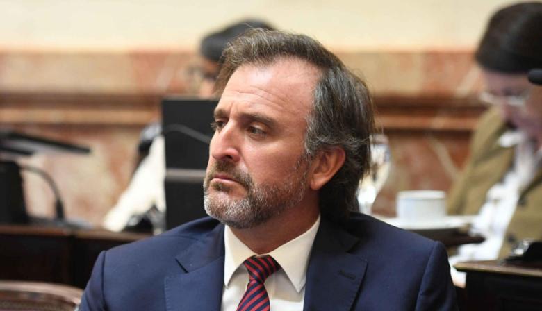 Ley de Tierras: quién es el senador de Milei que vende campos a extranjeros