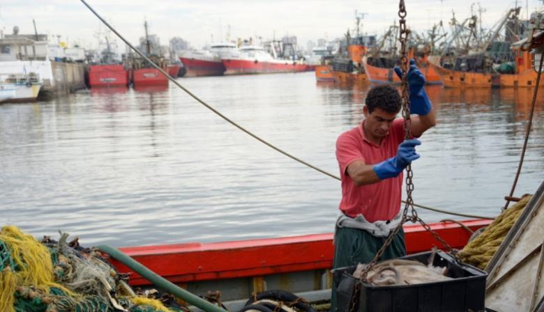 Conocé el dato de Agricultura sobre pesca que la industria puso bajo la lupa